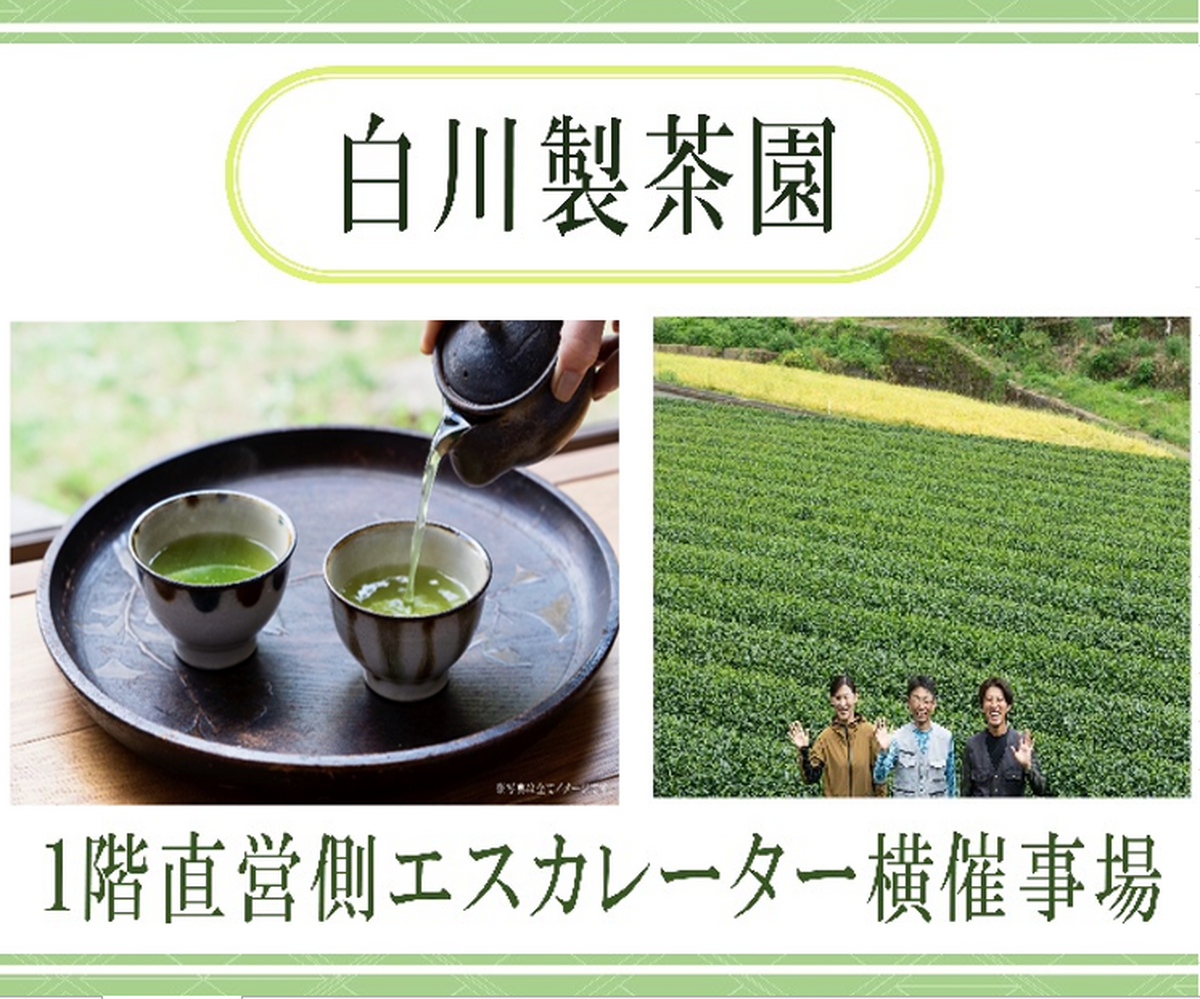 白川製茶園 催事出店 3/5(木)~3/8(日)